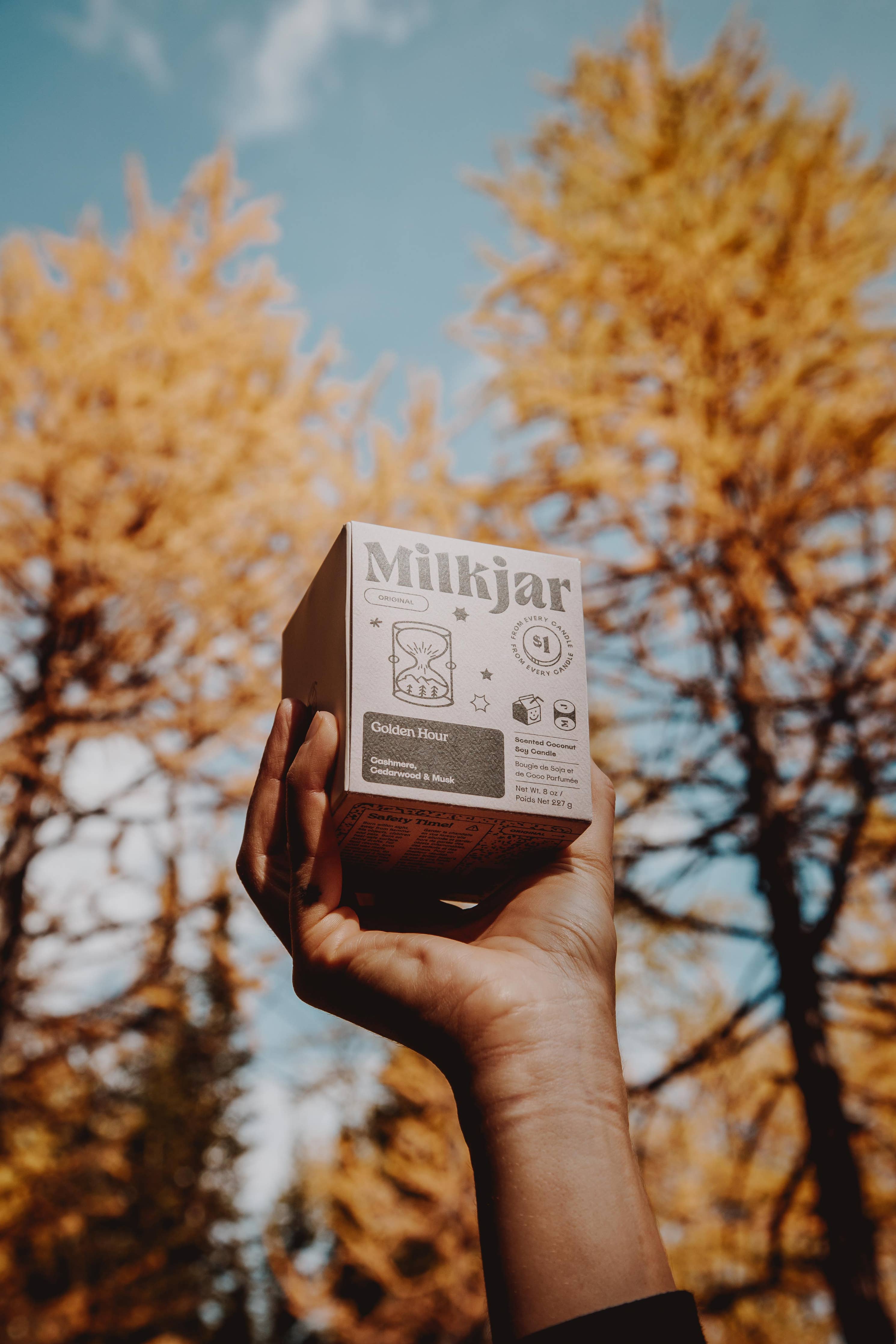 Golden Hour : Cashmere, Cedarwood Coconut Soy 8oz Candle